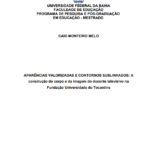 Leia mais sobre o artigo Aparências valorizadas e contornos sublinhados: a construção do corpo e da imagem do docente televisivo na Fundação Universidade do Tocantins