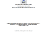 Leia mais sobre o artigo O Desenho Didático Interativo na Educação Online e a Prática Pedagógica no Ambiente Virtual de Aprendizagem: um estudo de caso